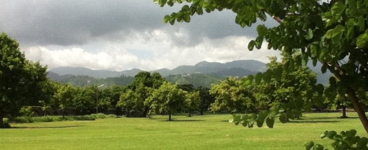 The Blue Mountains, from the campus of UWI in Mona